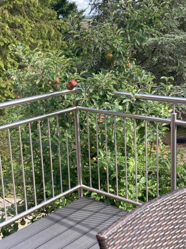 Villa Sonnenblick 13 Minuten Zum #Playmobil #Funpark Grosshabersdorf 외부 사진